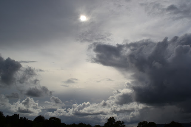 Centered Image
